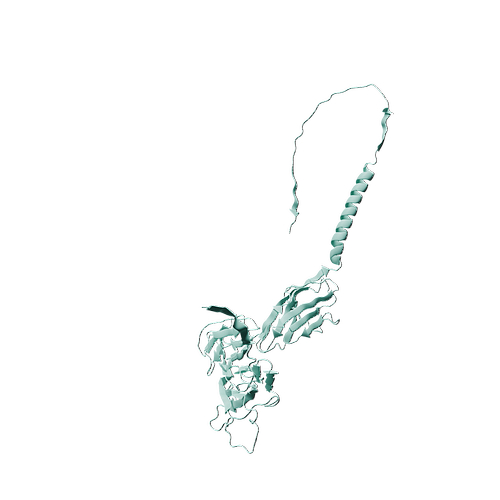 Mouse CD147 (C-6His, HEK293)